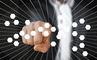 2020年热点法律问题，反思与展望