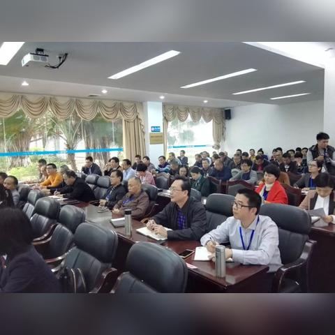 法律知识大全，构建法治社会的基础