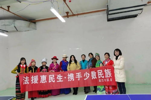 农村地区的法律援助现状与展望