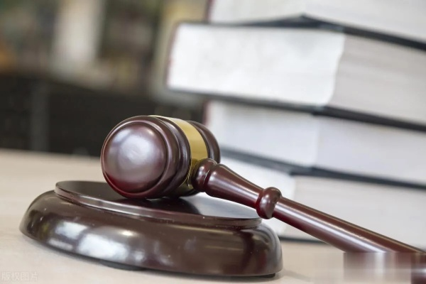 法律热点事件评析，从法律视角解读社会现象