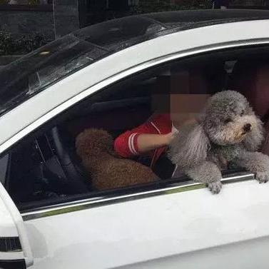 法律信息查询,获取法律知识的有效途径 法律信息查询,获取法律知识的有效途径