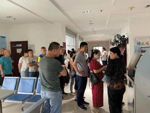 探索法律咨询网，法律服务的新纪元