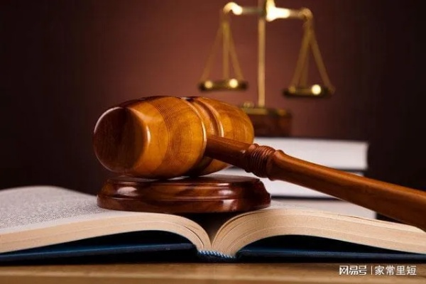 热点法律问题感悟,法律的边界与社会的温度 热点法律问题感悟,法律的边界与社会的温度