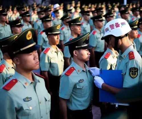 退伍军人法律咨询点,维护权益的坚实后盾 退伍军人法律咨询点,维护权益的坚实后盾